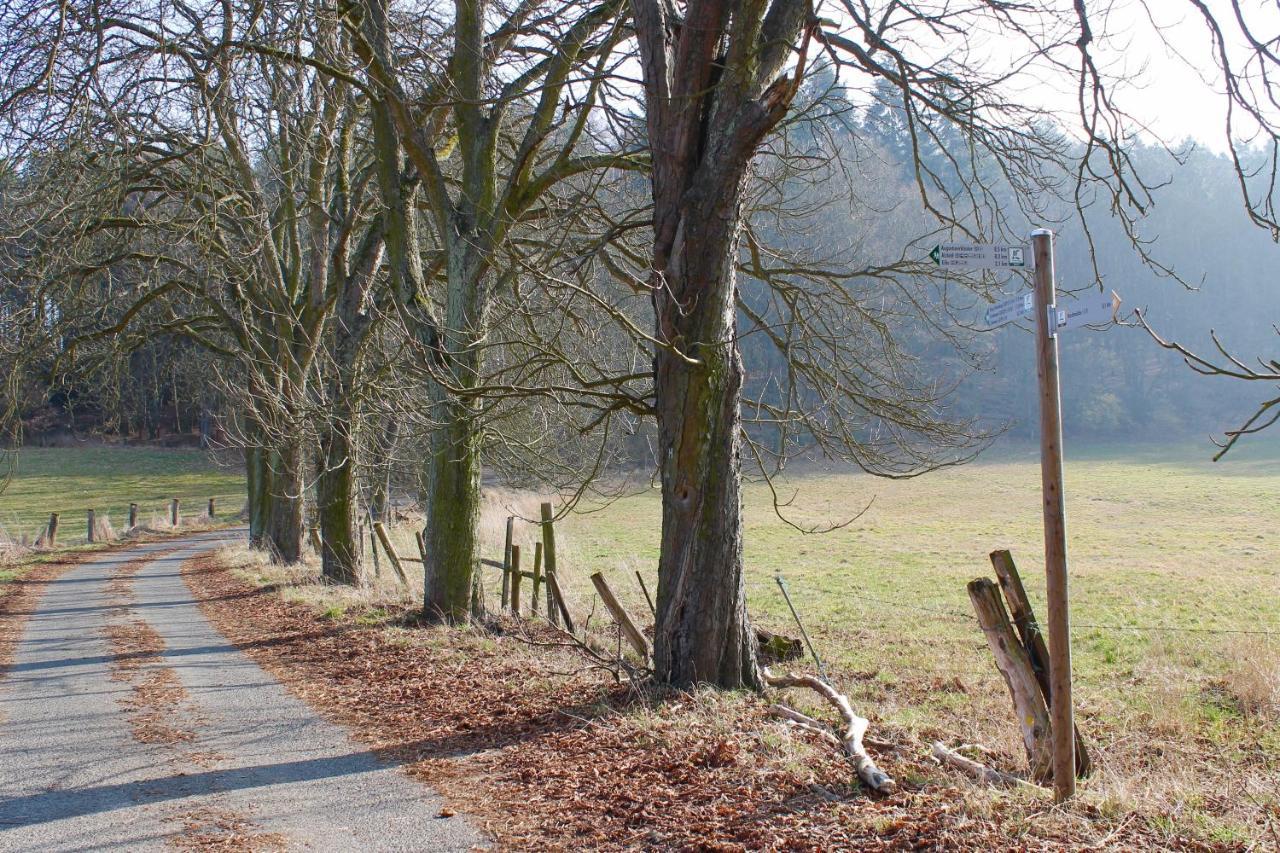 Gasthaus Zur Hardtmuehle Alsfeld Exteriér fotografie